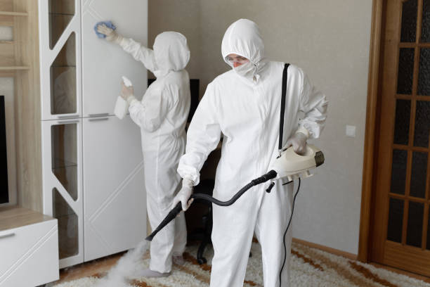Best Mold Remediation for Specific Building Types in Macom, IL
